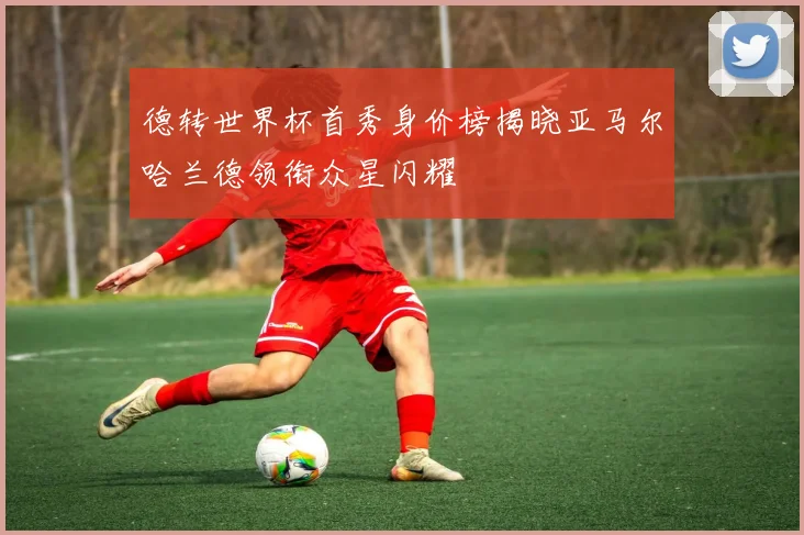 德转世界杯首秀身价榜揭晓亚马尔哈兰德领衔众星闪耀